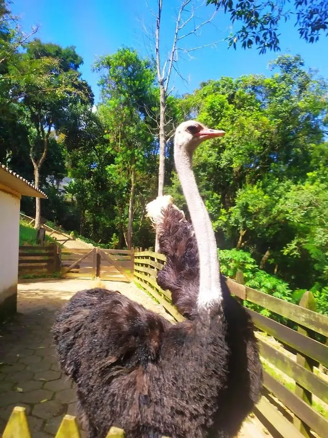 Willa Sitio Do Jota - Conforto E Natureza Completo Sp - Km 54 Castelo Branco São Paulo